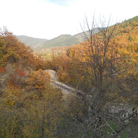 Apartment Cerova Kosa Mokra Gora Dış mekan fotoğraf