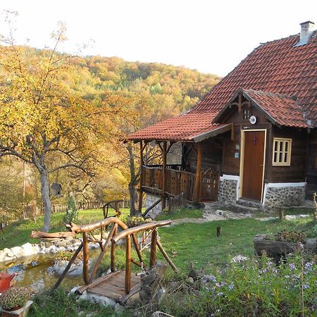 Apartment Cerova Kosa Mokra Gora Dış mekan fotoğraf