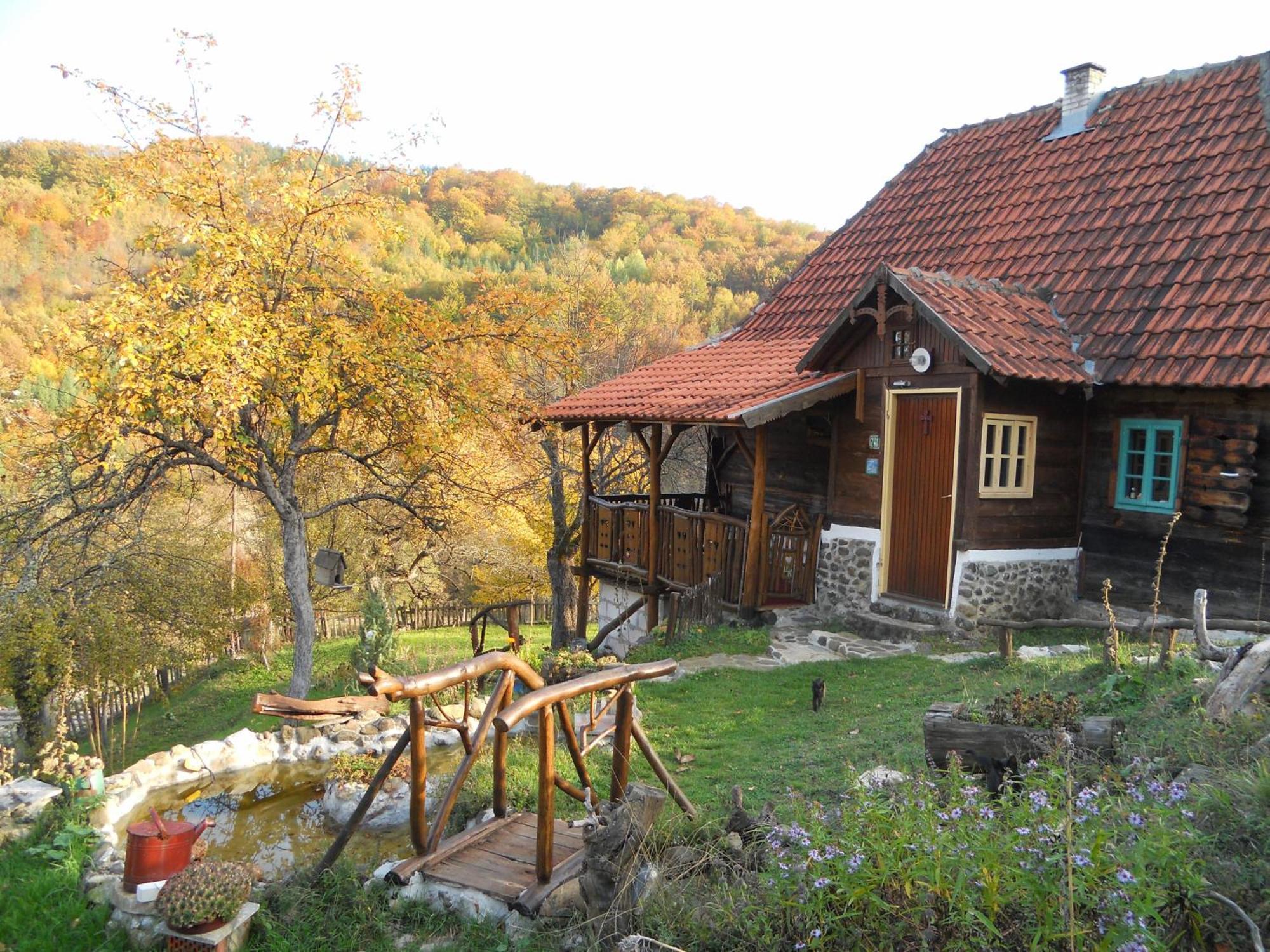 Apartment Cerova Kosa Mokra Gora Dış mekan fotoğraf