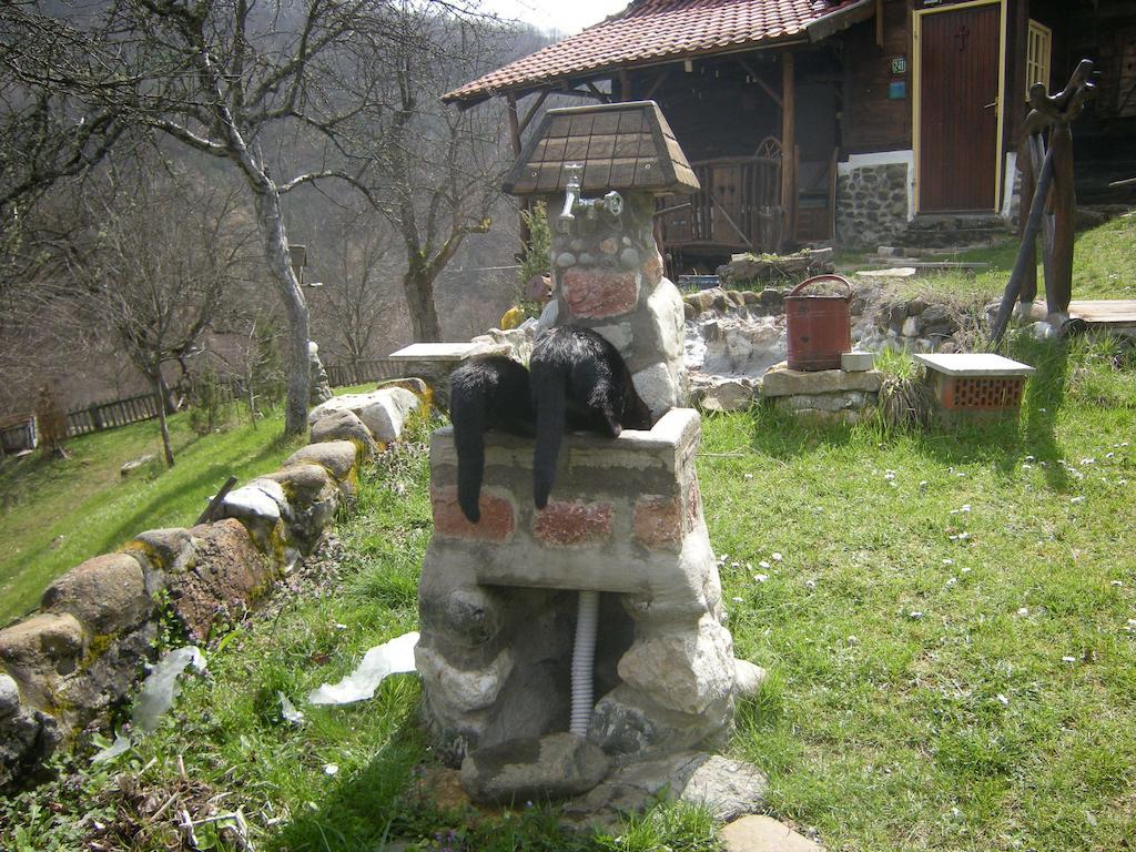 Apartment Cerova Kosa Mokra Gora Oda fotoğraf